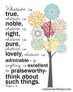 4ec1288387c4e8fca41d8ed34246baa8